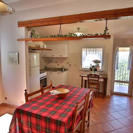 Mamaamelia Apartman Levanto Kültér fotó